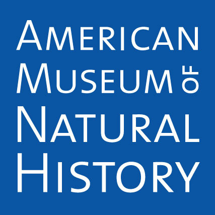 amnh.jpg