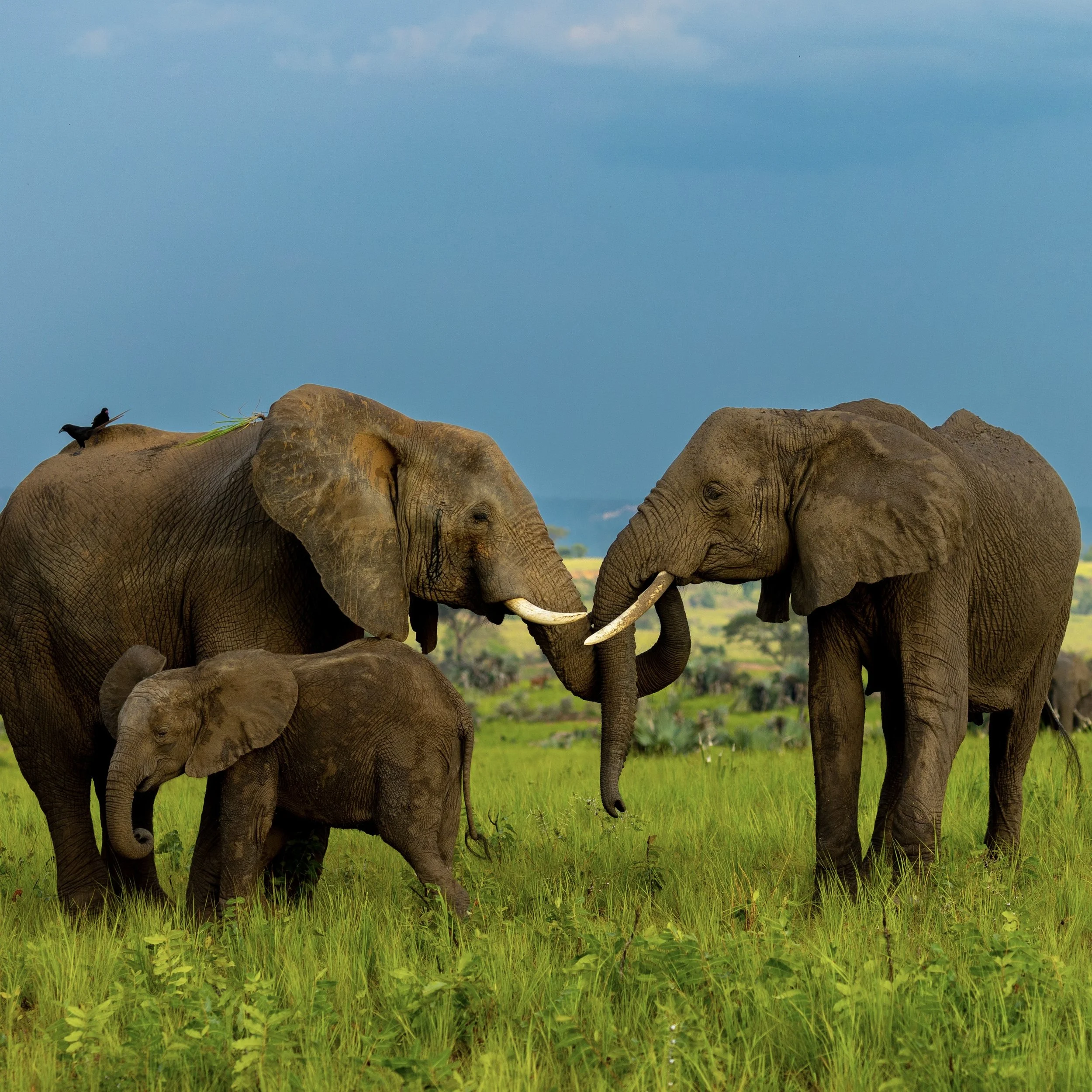 February Gallery Exhibit