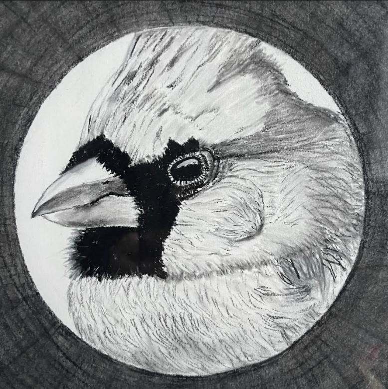 April Gallery Exhibit