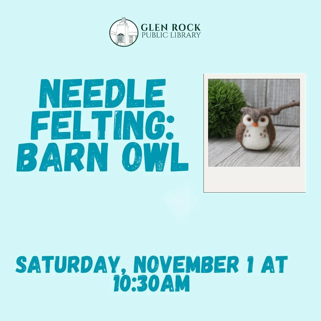 Reminder, our needle felting program for adults is coming up next Saturday, November 1st at 10:30am.  The program is full, but you can register for the waitlist here.  https://bccls.libcal.com/event/15023688