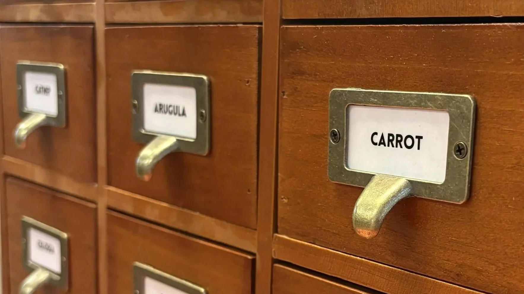 A picture of a wooden catalog box with labels of different types of plants.