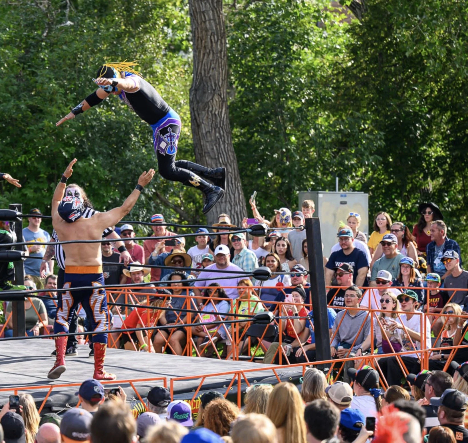 High Flying Lucha Libre Wrestling