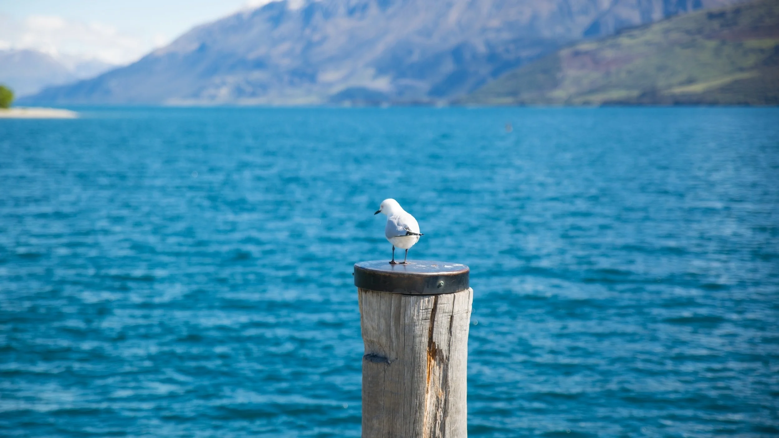 bay-beach-beautiful-724953.jpg