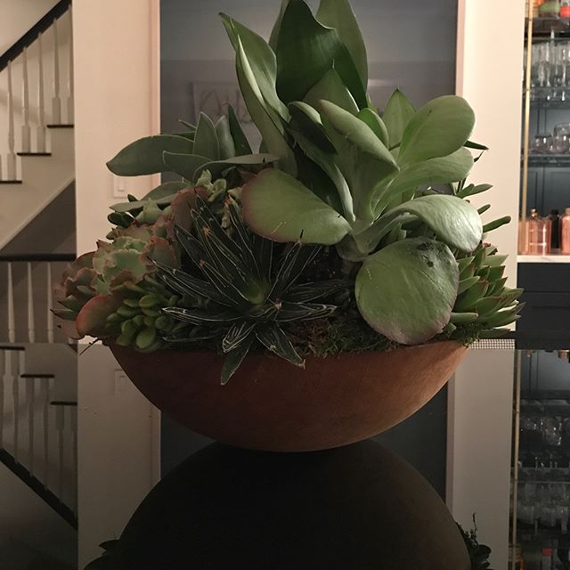 Another FatPlant finds a new home. #brooklyntownhouse #fatplantnyc #fatplant #urbangarden #sustainable #succulents #fuckflowers #tablecenterpiece