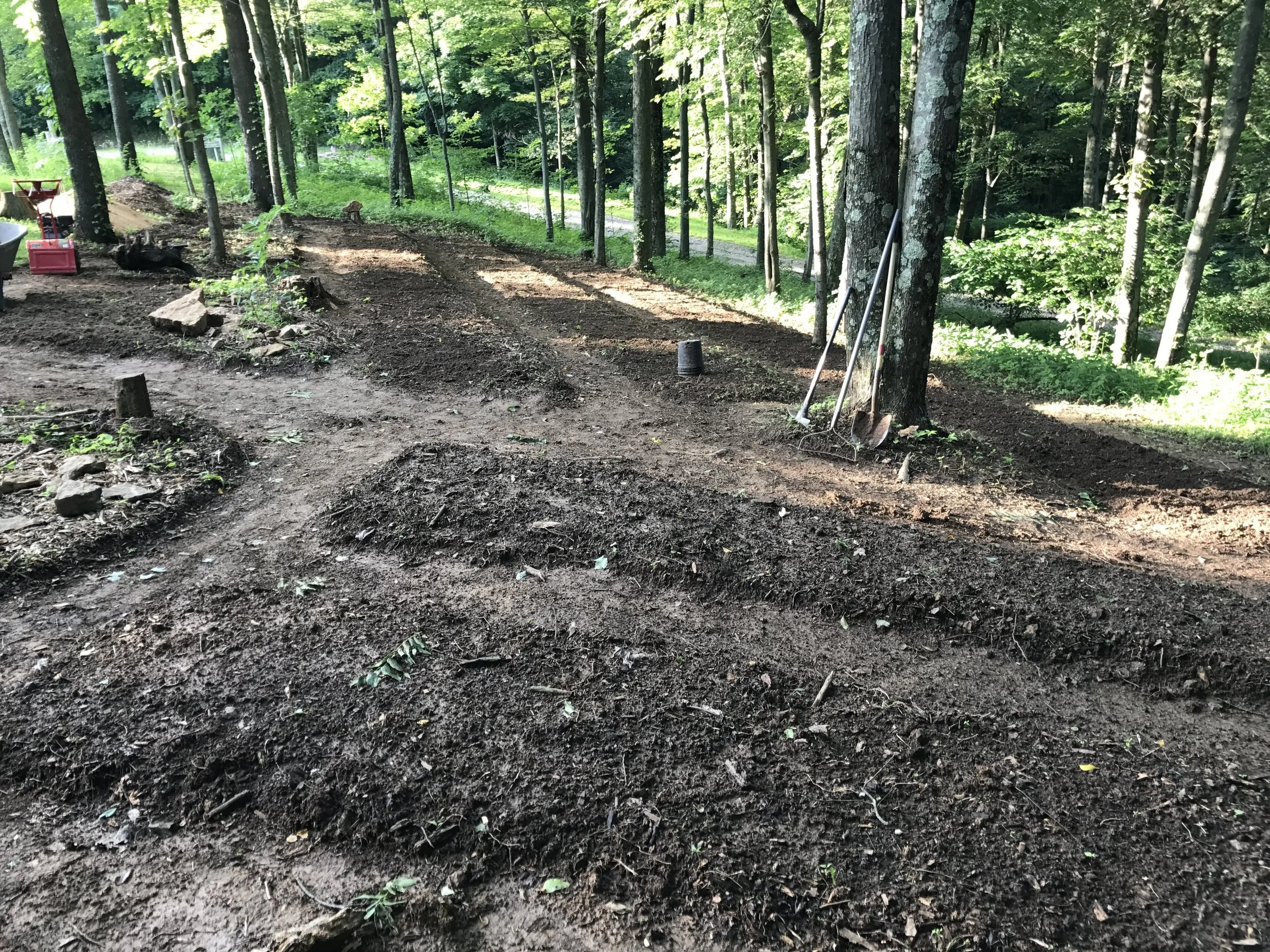 What is Forest Farming Anyway?