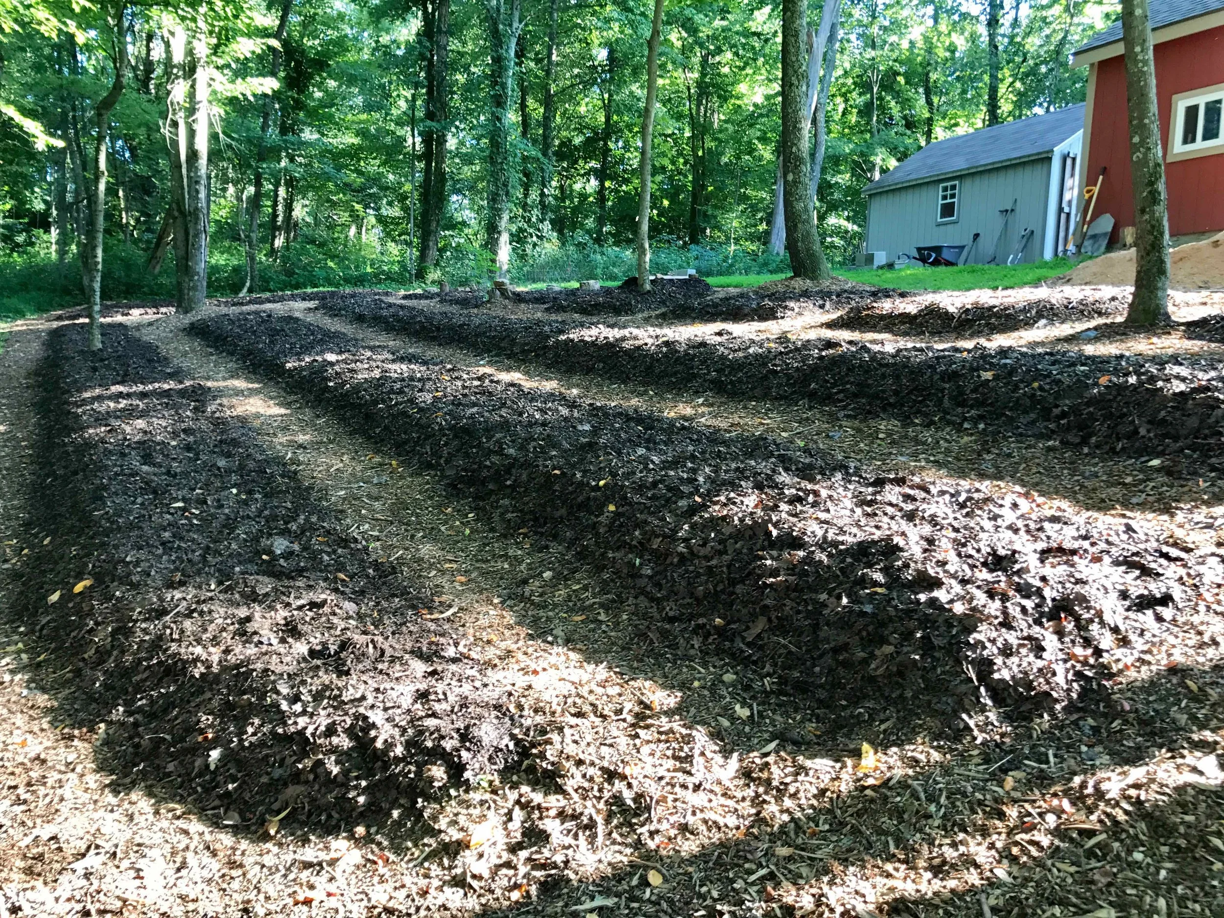 Nursery 10 - more beds mulched.jpg