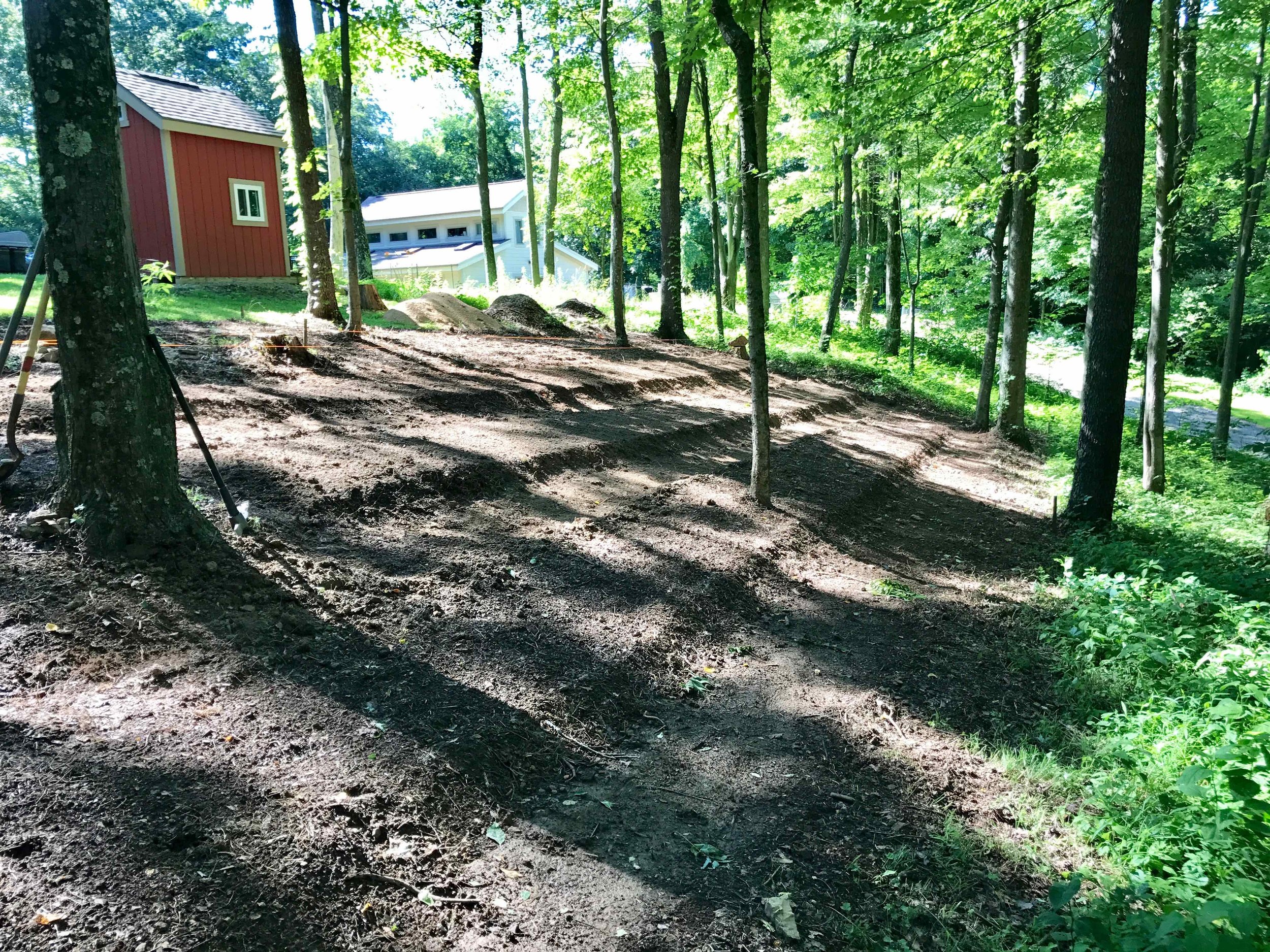 Next we formed the raised beds