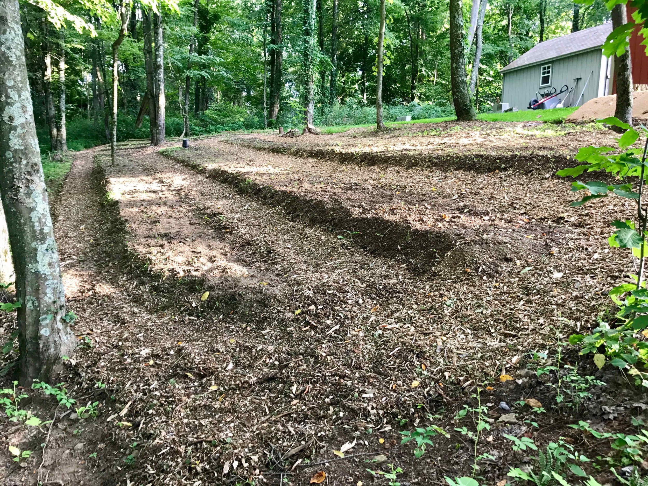 Nursery 6 - paths mulched.jpg