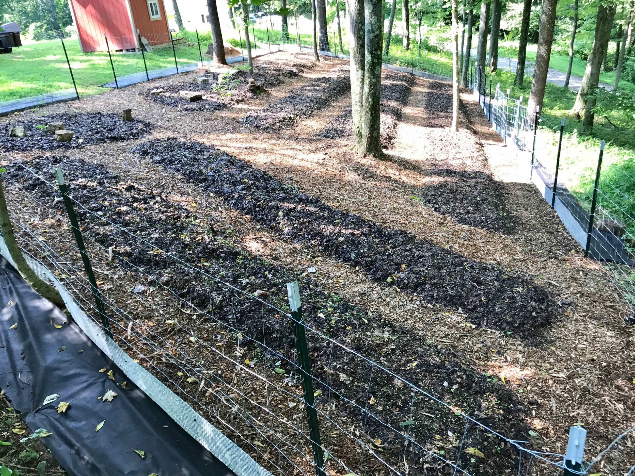 We put up a fence to deter critters