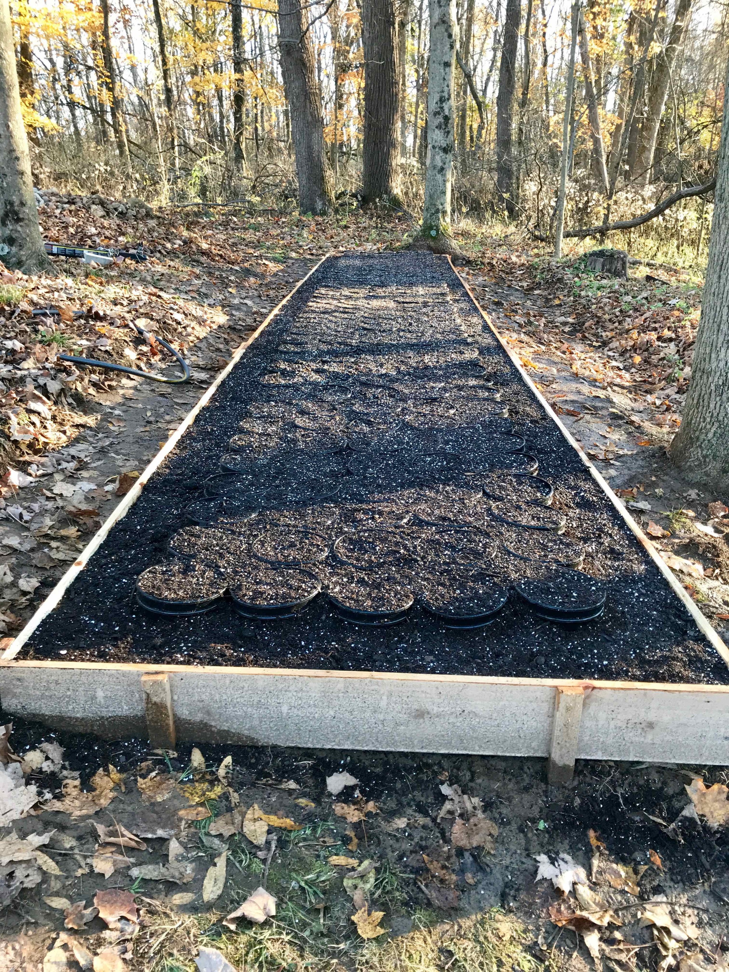 Then we filled the bed with potting soil