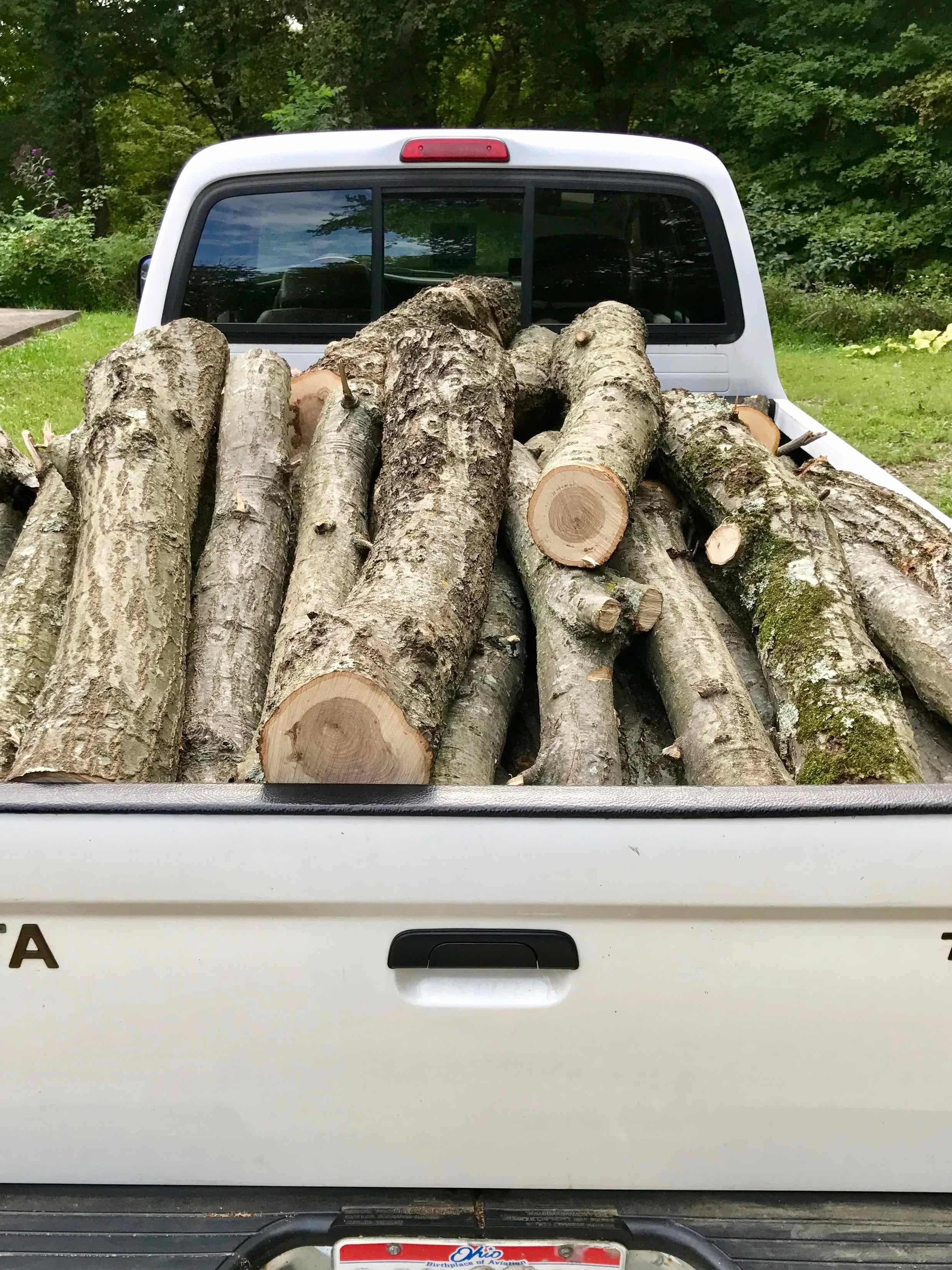 First we gathered some logs