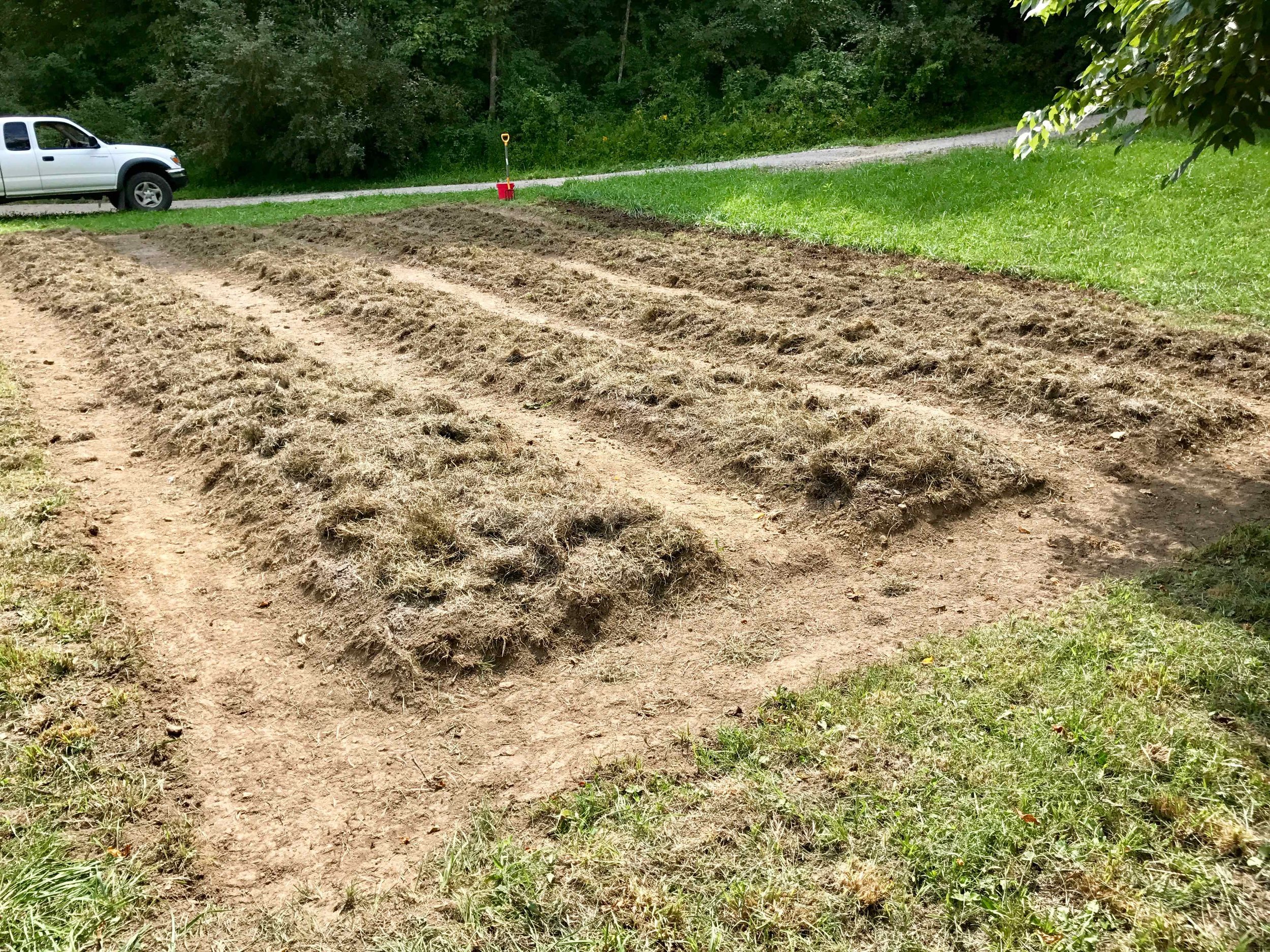 We added organic material