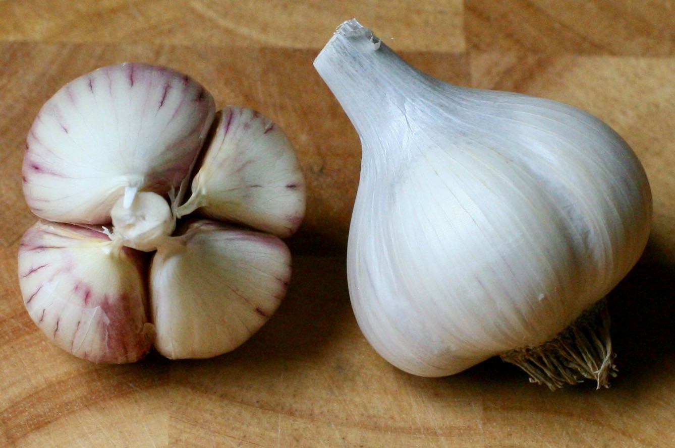Garlic - Music.jpg