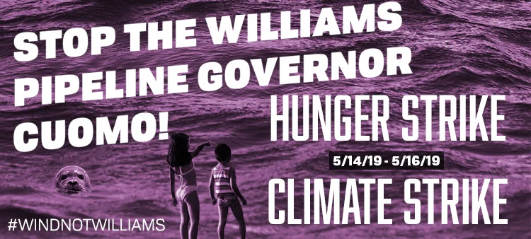 https://www.saneenergy.org/hungerstrike