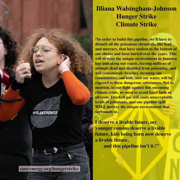 HungerStrike-Lilly-FINAL.jpg