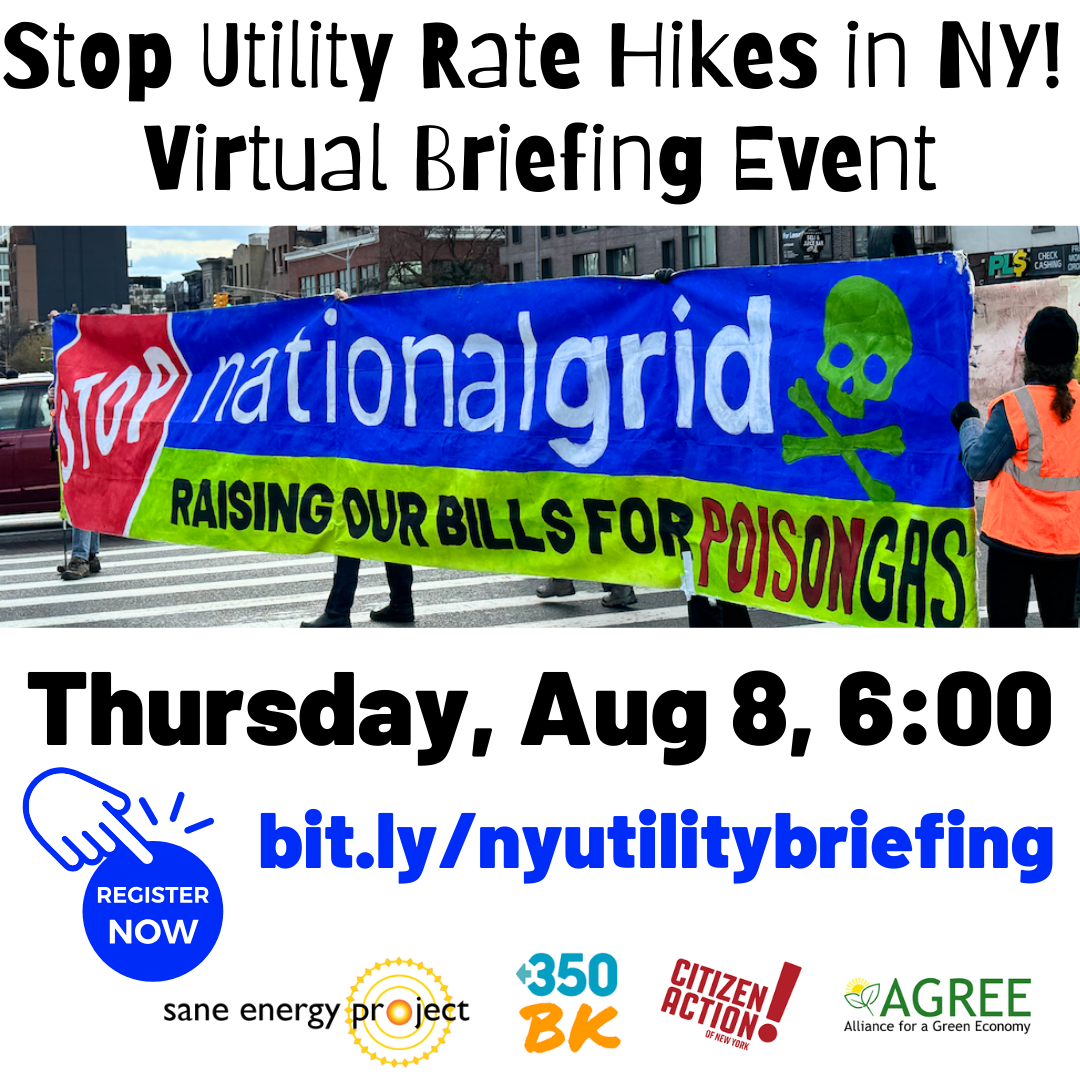 Stop Utility Rate Hikes in NY! Virtual Briefing Event