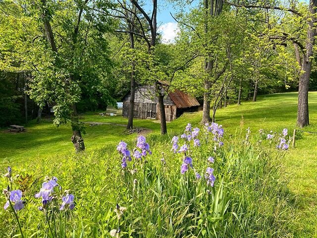 This place sure is beautiful! We are looking forward to sharing it with our students again when we are able. For now, we are missing everyone and sending healthy, happy energy your way! ✨ 💕 #828isgreat #brevardnc #pisgahcollective