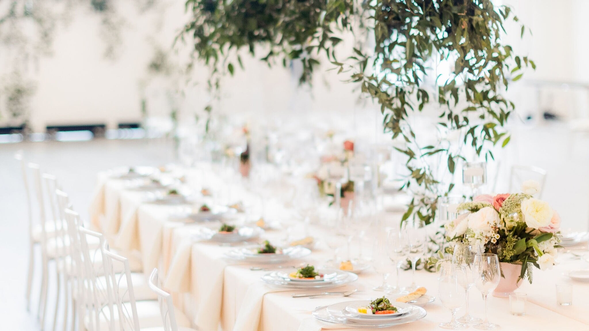 WhiteIronRidgeWedding_CatherineRhodesPhotography-143+%281%29.jpg