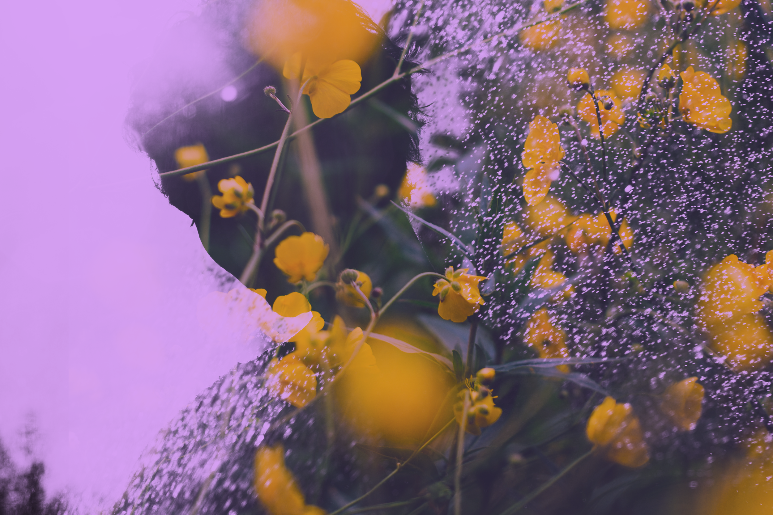 Quiet Earth Midwifery - Banner Image 07.png