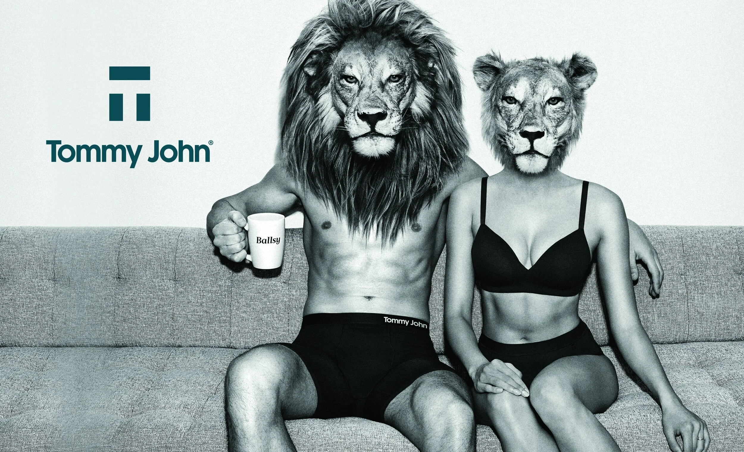 Lion-1.jpg