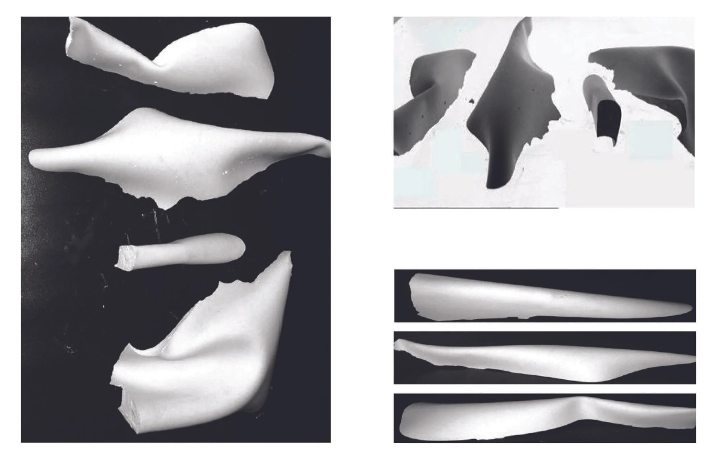plaster_rubber.jpg