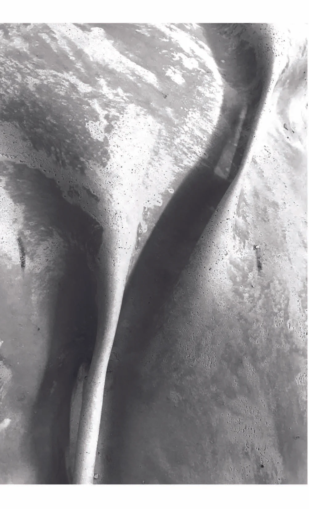 concrete_skinny.jpg