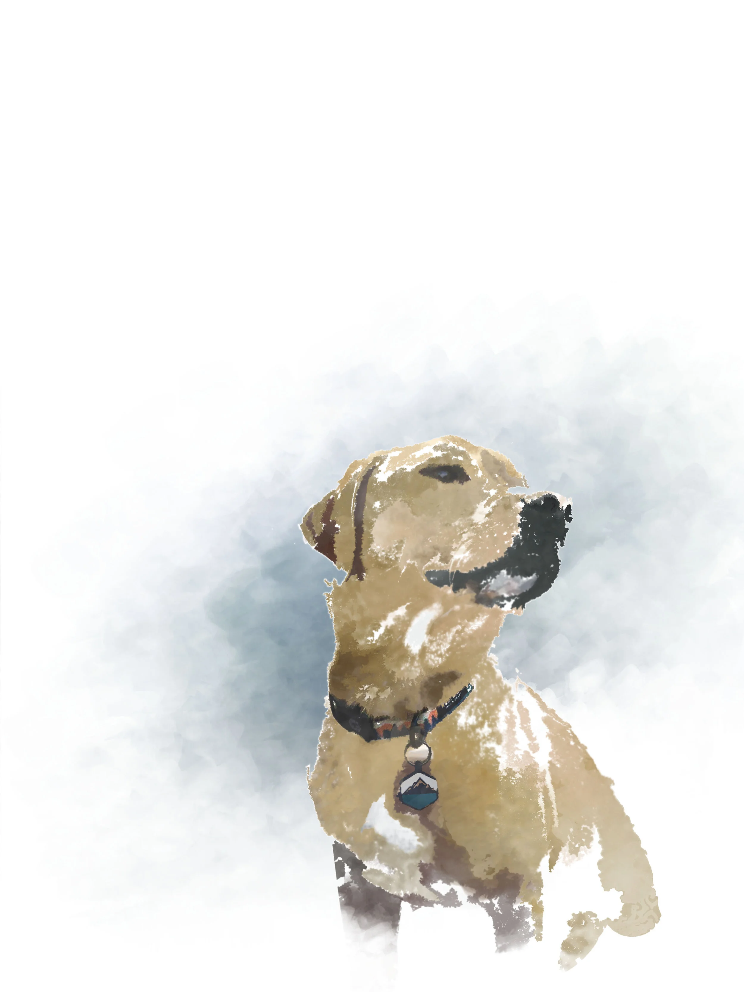 Gus