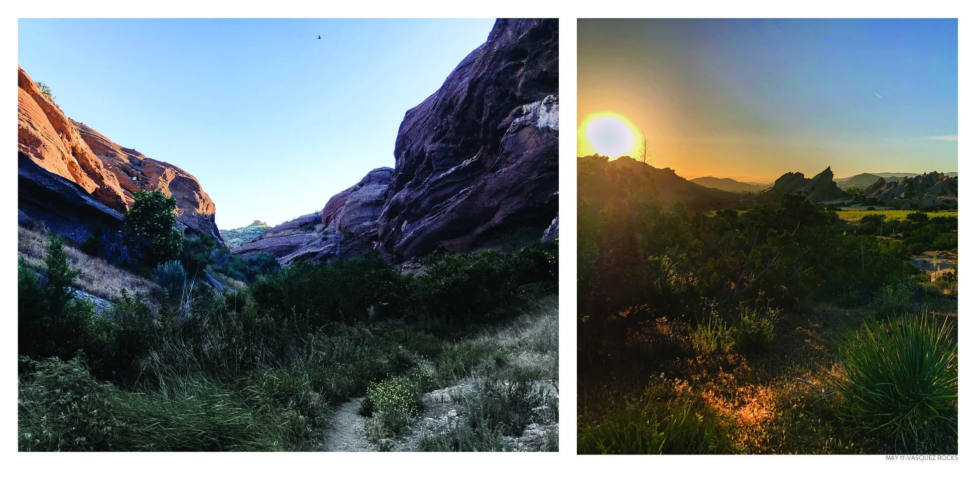 PCT Photobook Pages5.jpg