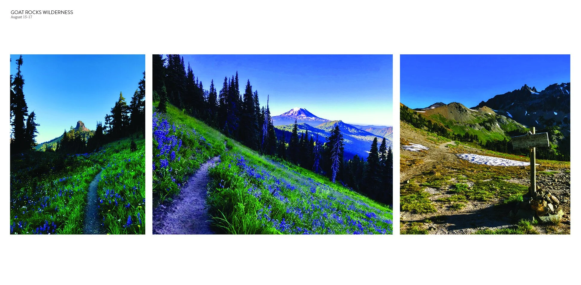 PCT Photobook Pages34.jpg