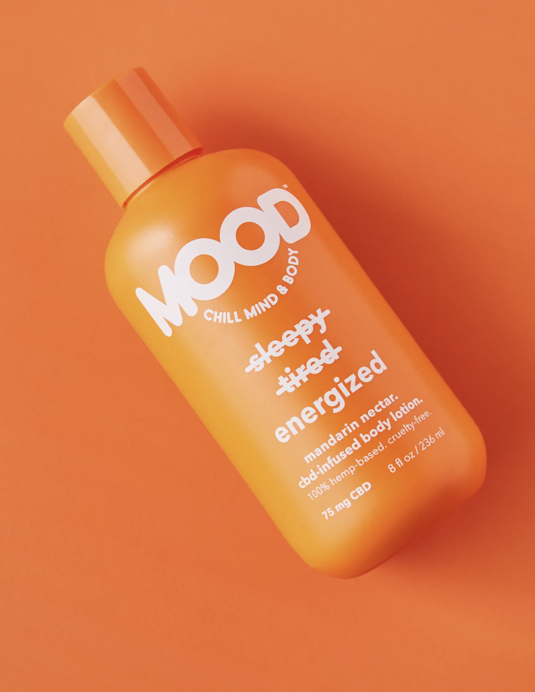 Screenshot 2026-02-10 at 10.32.47 PM.png