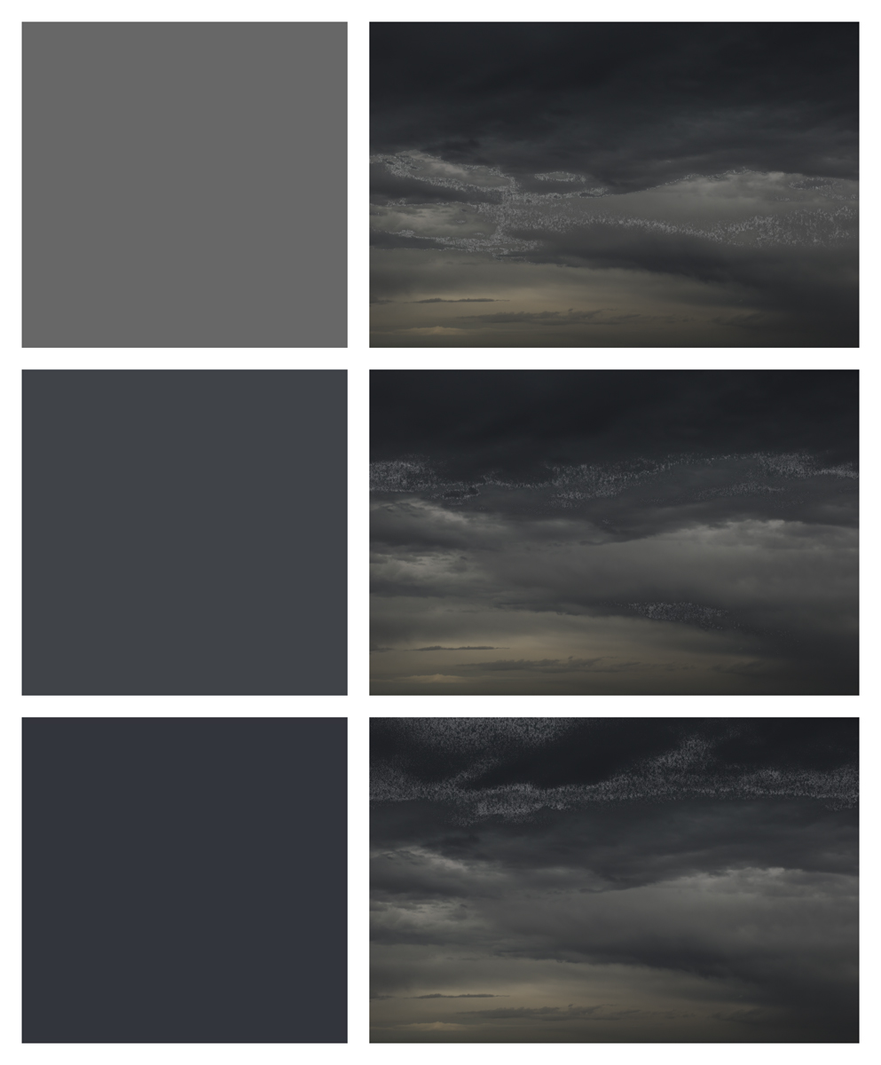  Missing Pixels Triptych. 2018. Archival Inkjet Print. 40.56in x 49in. 