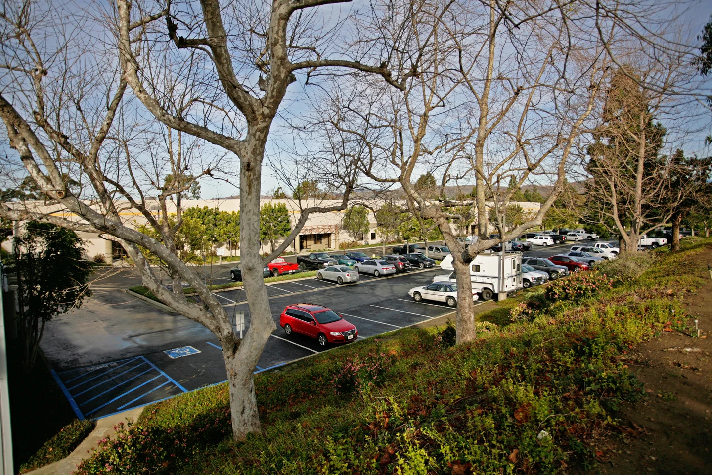 _MG_3654.jpg
