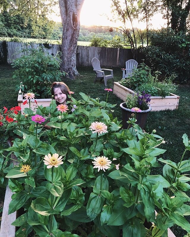 She planted those zinnias from seed a few months ago ✨