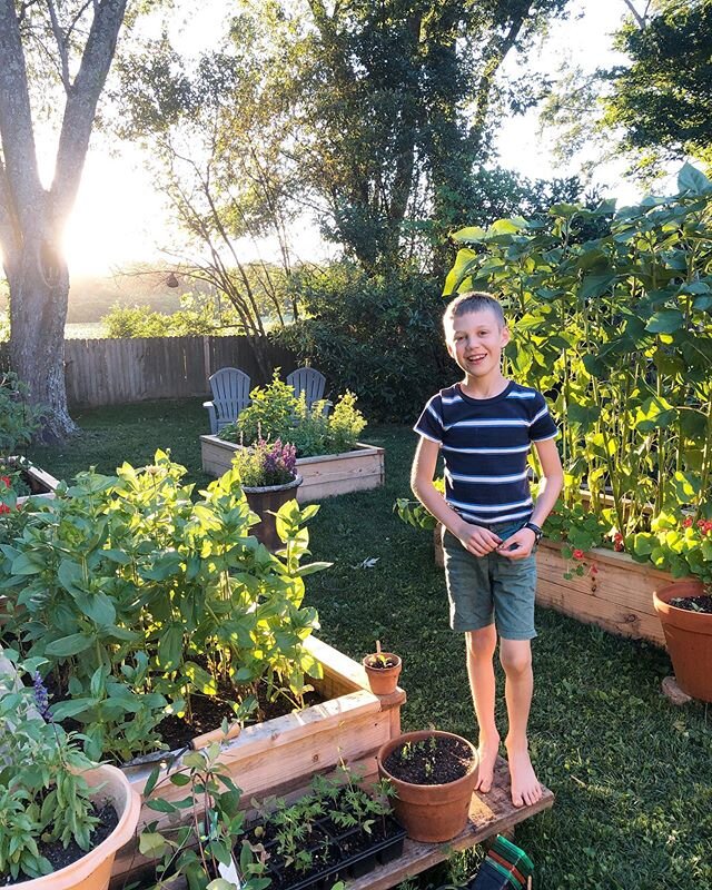 He planted the sunflowers behind him from seed and now they&rsquo;re taller than me! The first one bloomed just the other day.
.
When we poured the soil into these garden boxes and pressed seeds into the darkness, I had no idea how much hope the gard