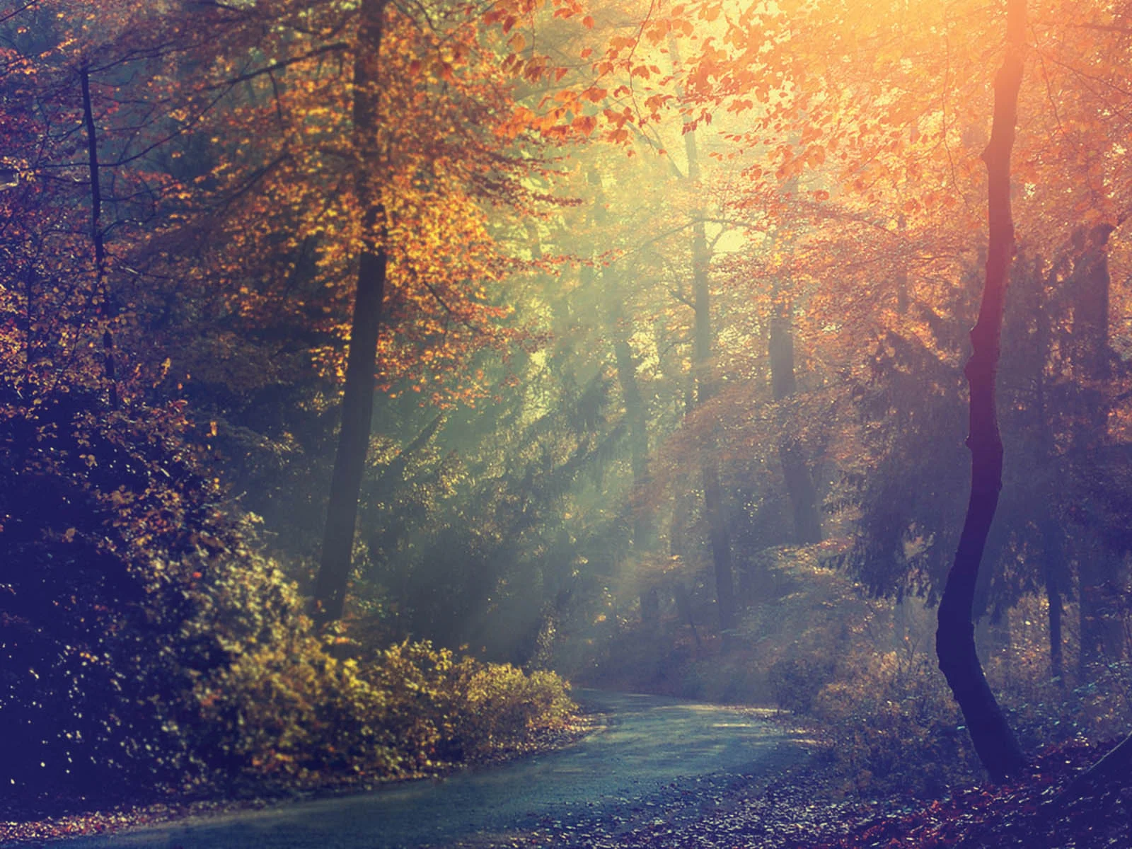 BANNER-06.jpg