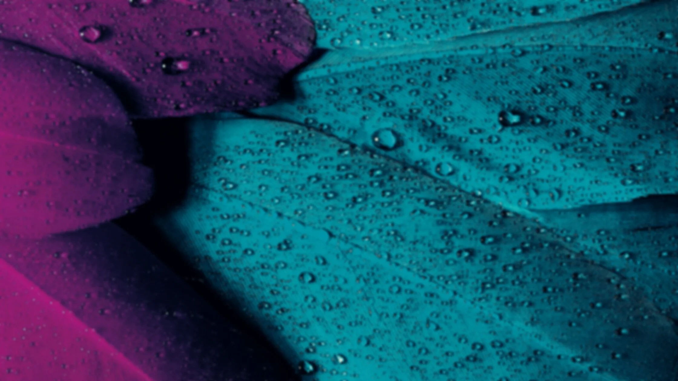 resources+banner.jpg