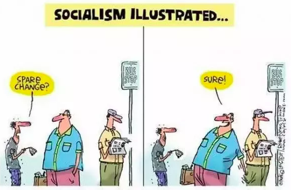 The Democratic Party aka The Democratic Socialist Party