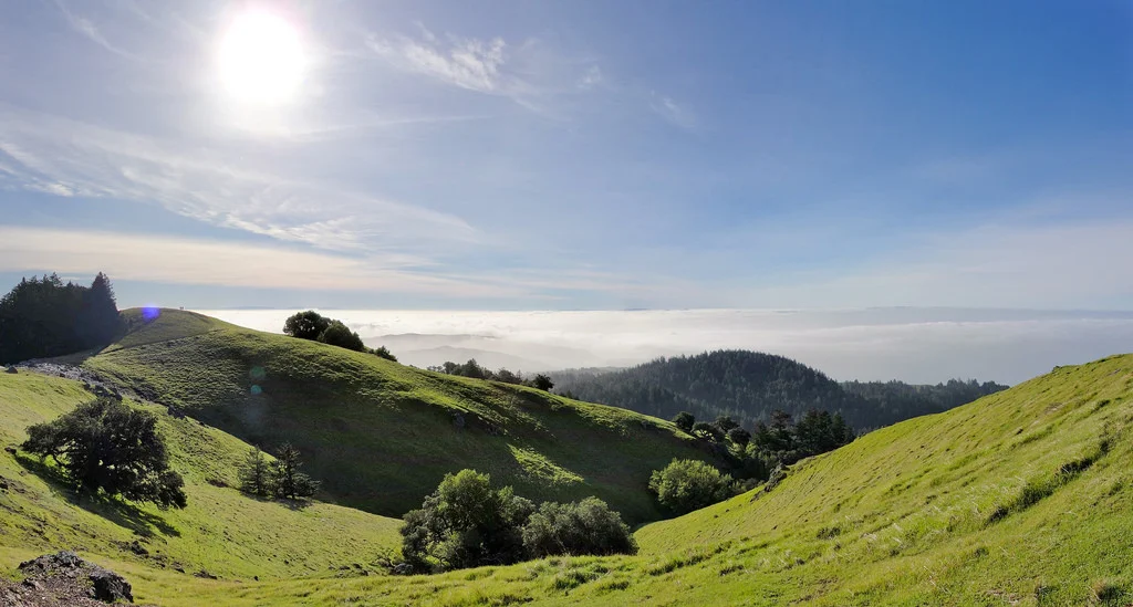 view_from_tam.jpg