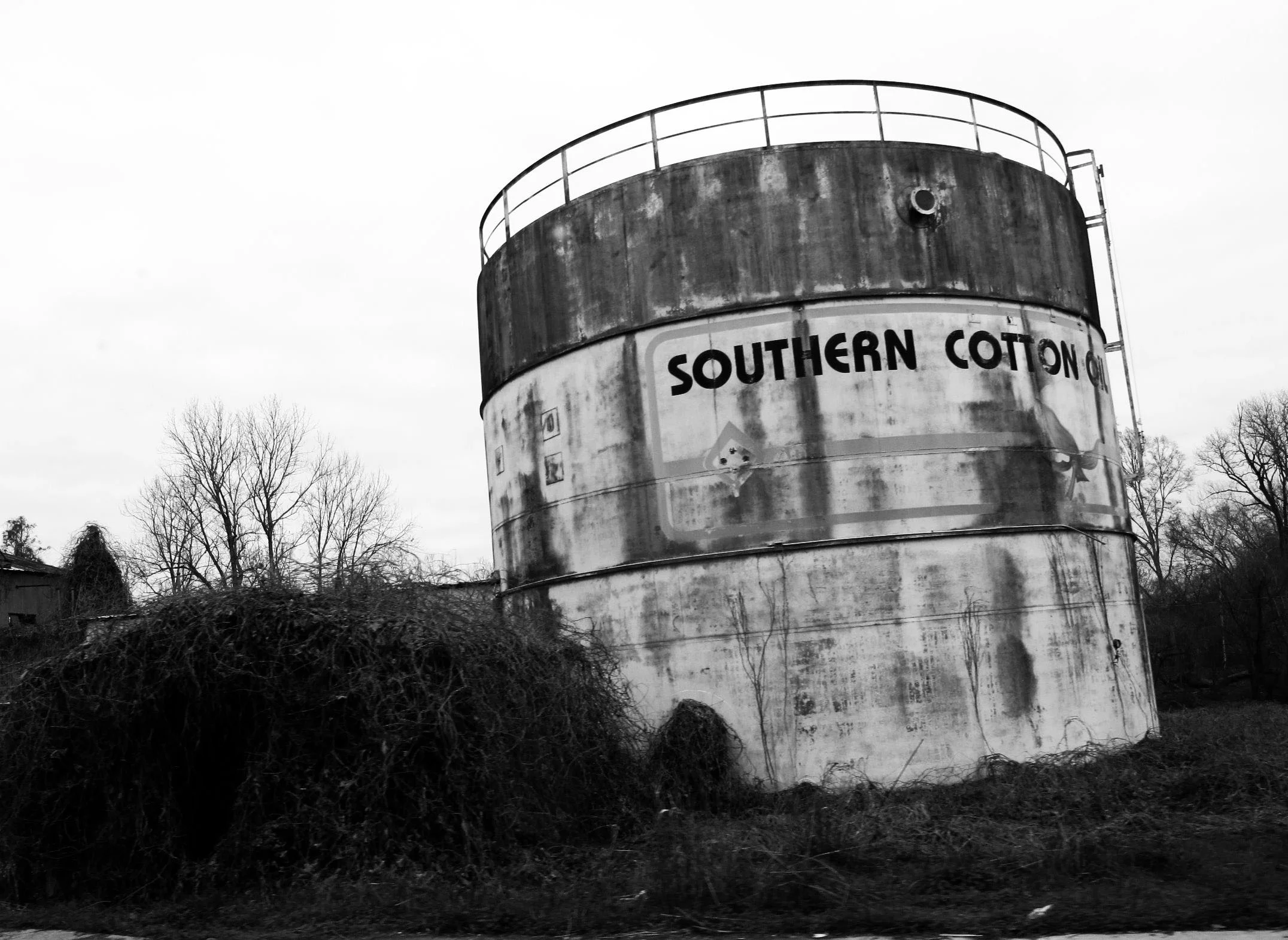 12 Southern Cotton.jpg
