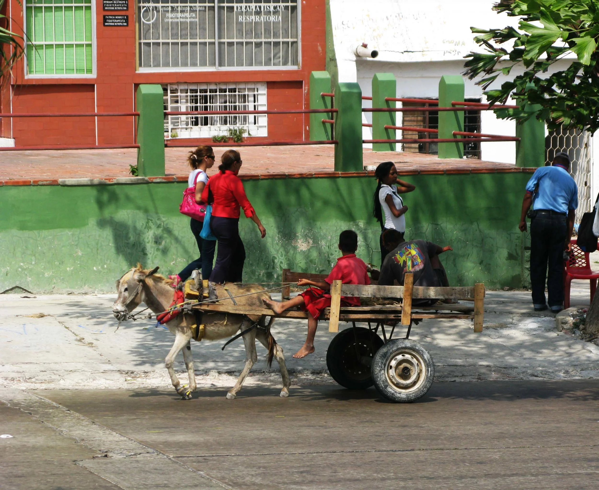IMG_3383.jpg