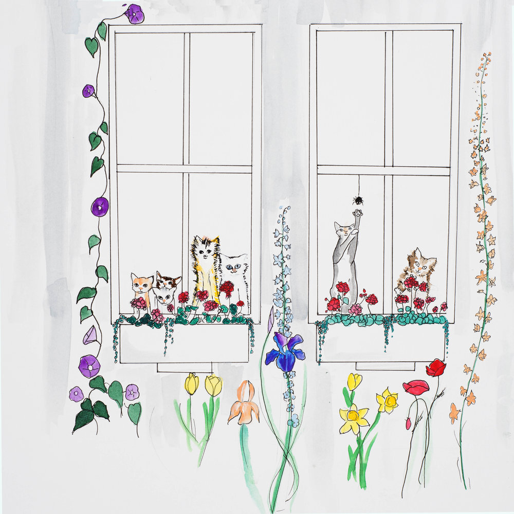 #31A-+Sal+looking+back+at+shelter,+kitties+in+the+window.jpg