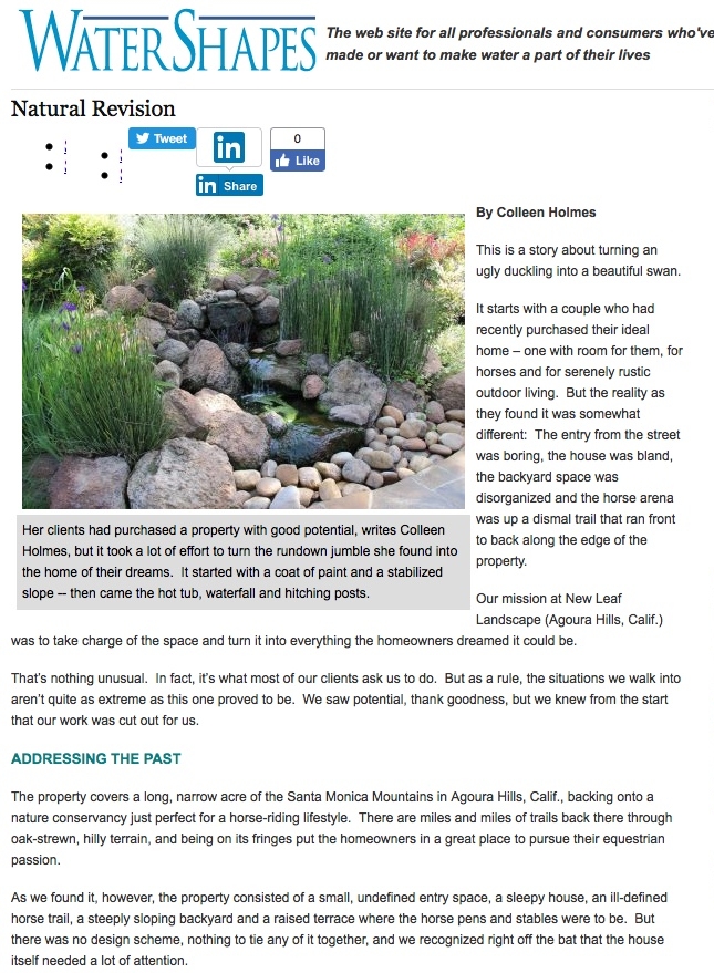 Watyershapes article 2.jpeg