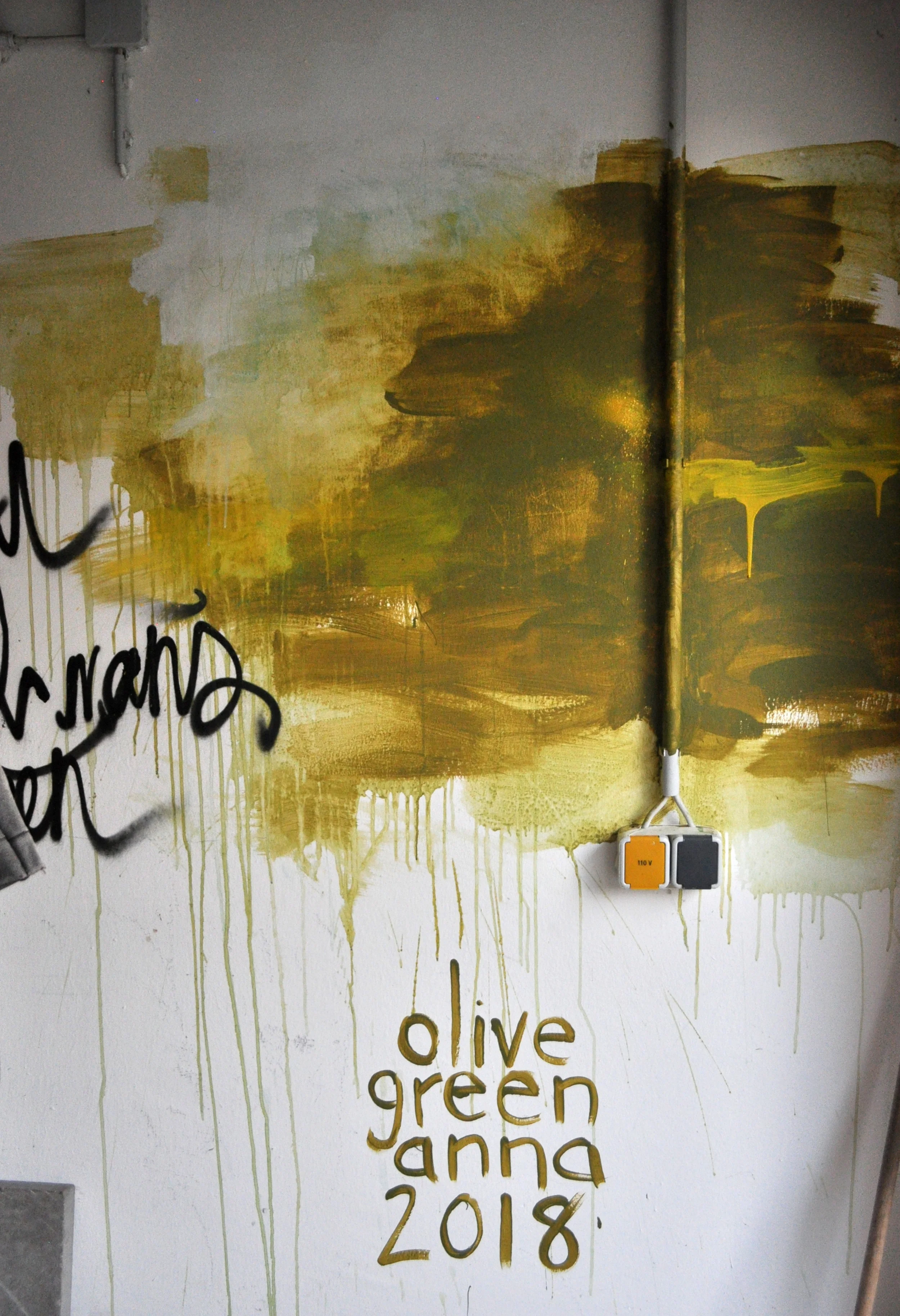 OliveGreenAnnaMuralArtistMetropolinkUrbanArtFestivalHeidelbergGermany5.jpg