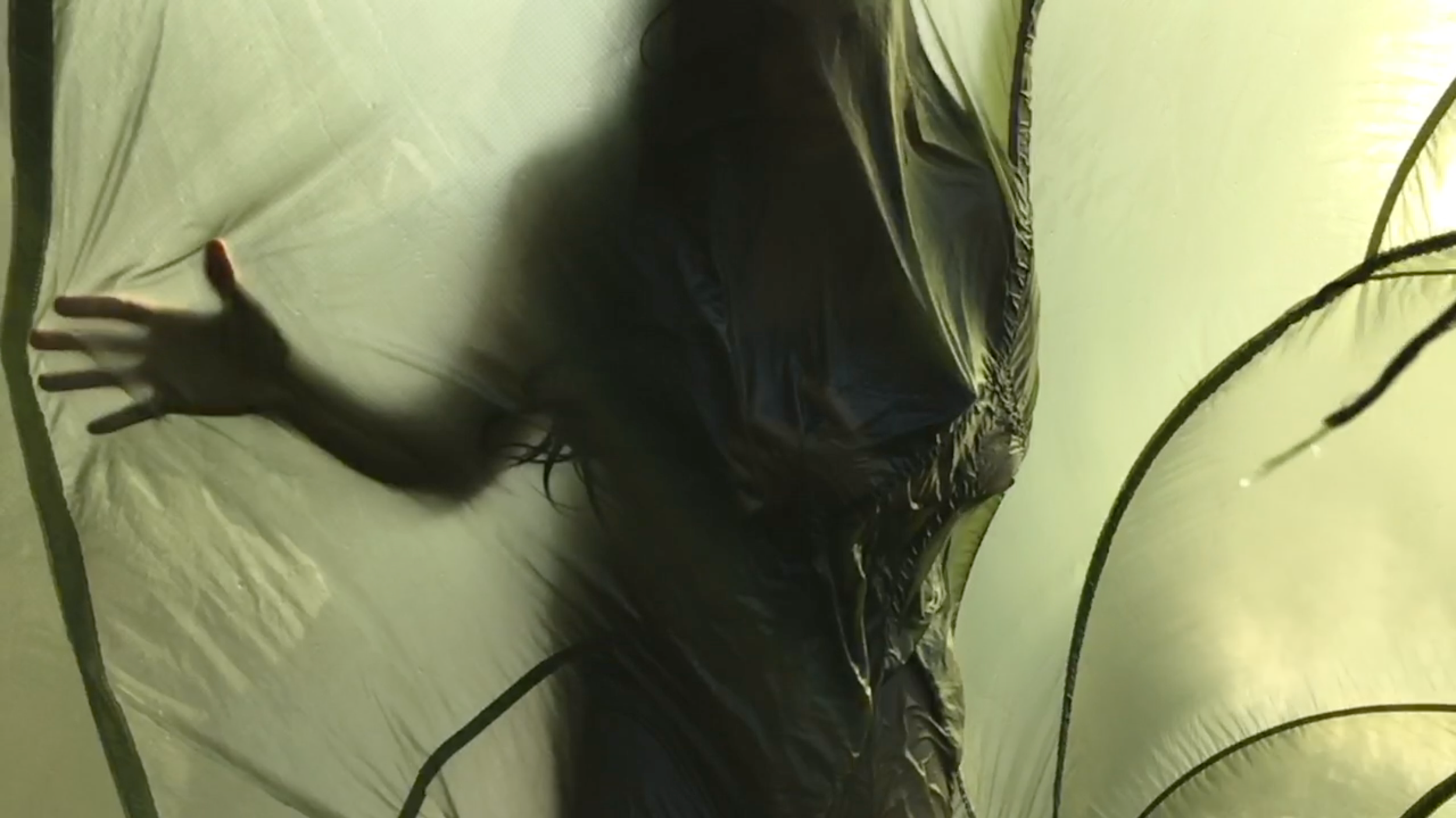 Screen Shot 2021-04-27 at 12.36.51 PM.png