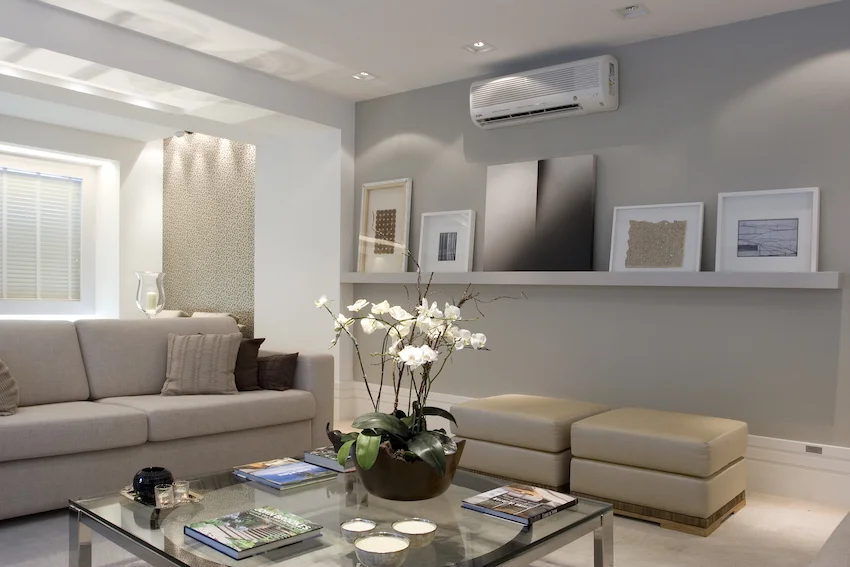 Canário Decor 2.jpg