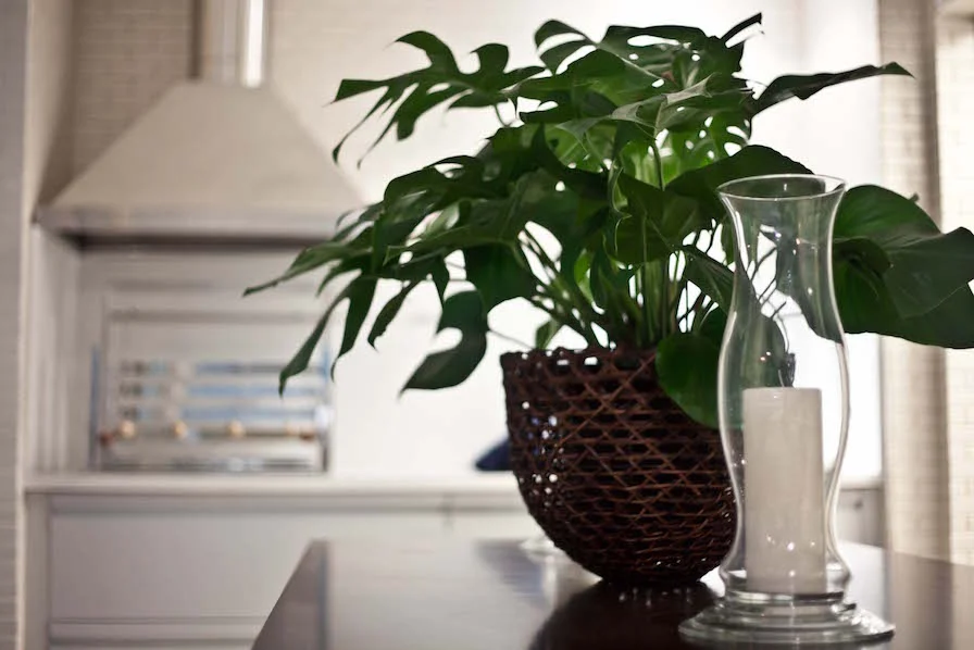 Rei Alberto Decor 5.JPG