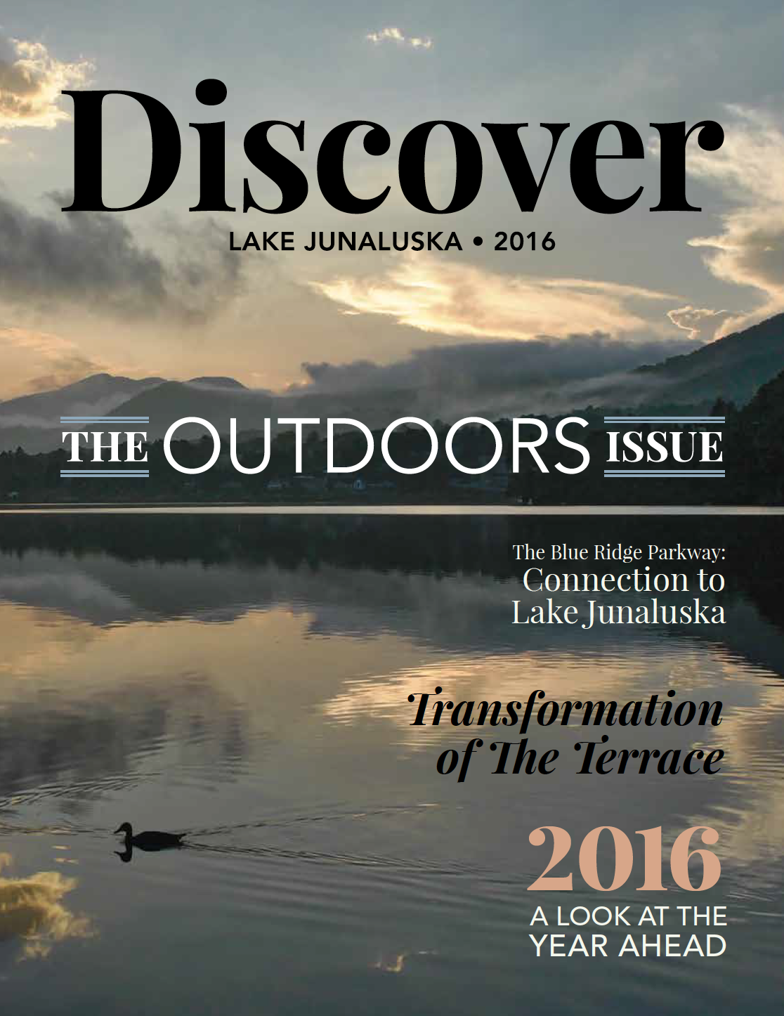 Screen Shot 2017-05-22 at 12.42.31 AM.png