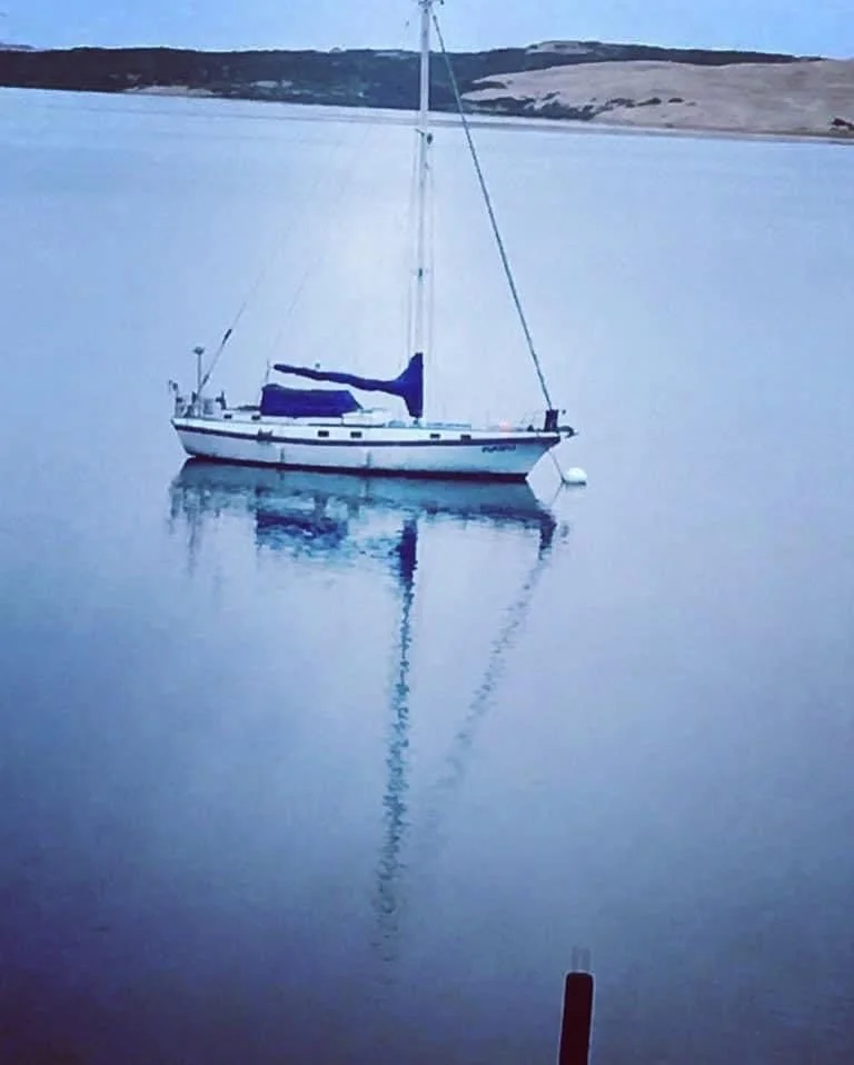 NAVIGATING THE SEA OF LIFE