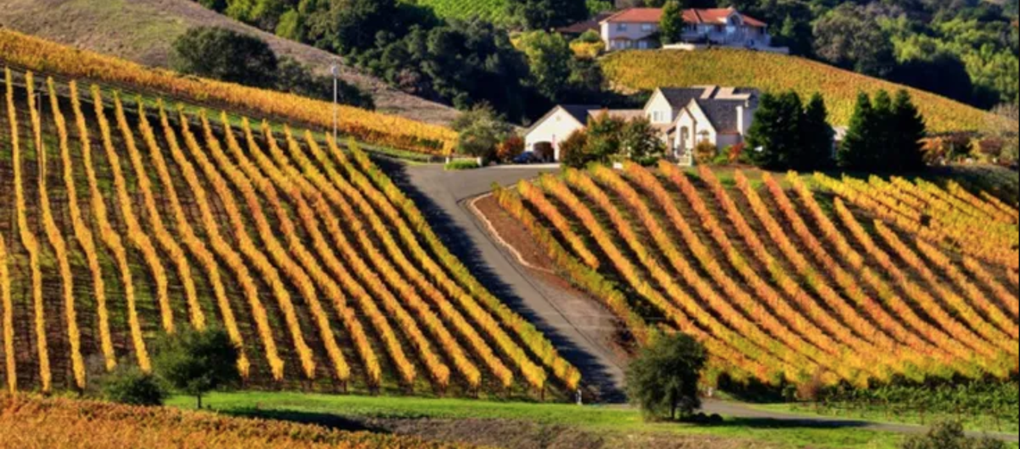  Fall Getaway: Harvest Season in Wine Country