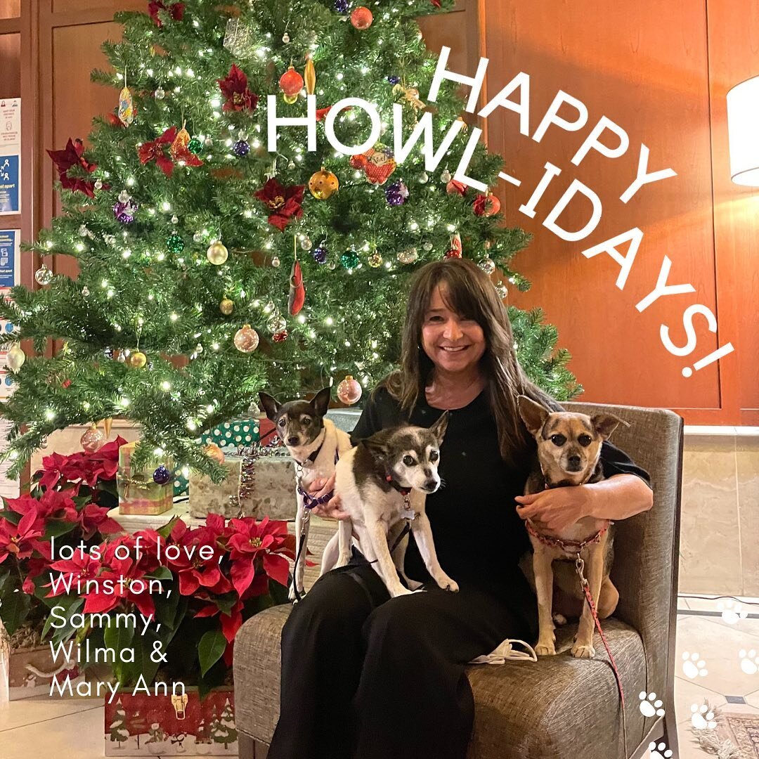 Not a normal year, not a normal holiday but that doesn&rsquo;t mean I can get away without wishing you all a great holiday season. From my wild pack to your (furry and/or human), HOHOHO